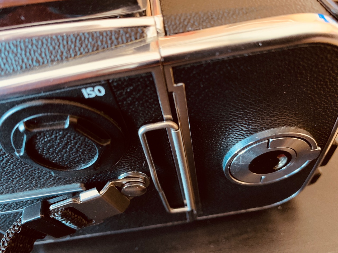 Review: Hasselblad 503CW Medium Format Film Camera – Beyond The Aperture